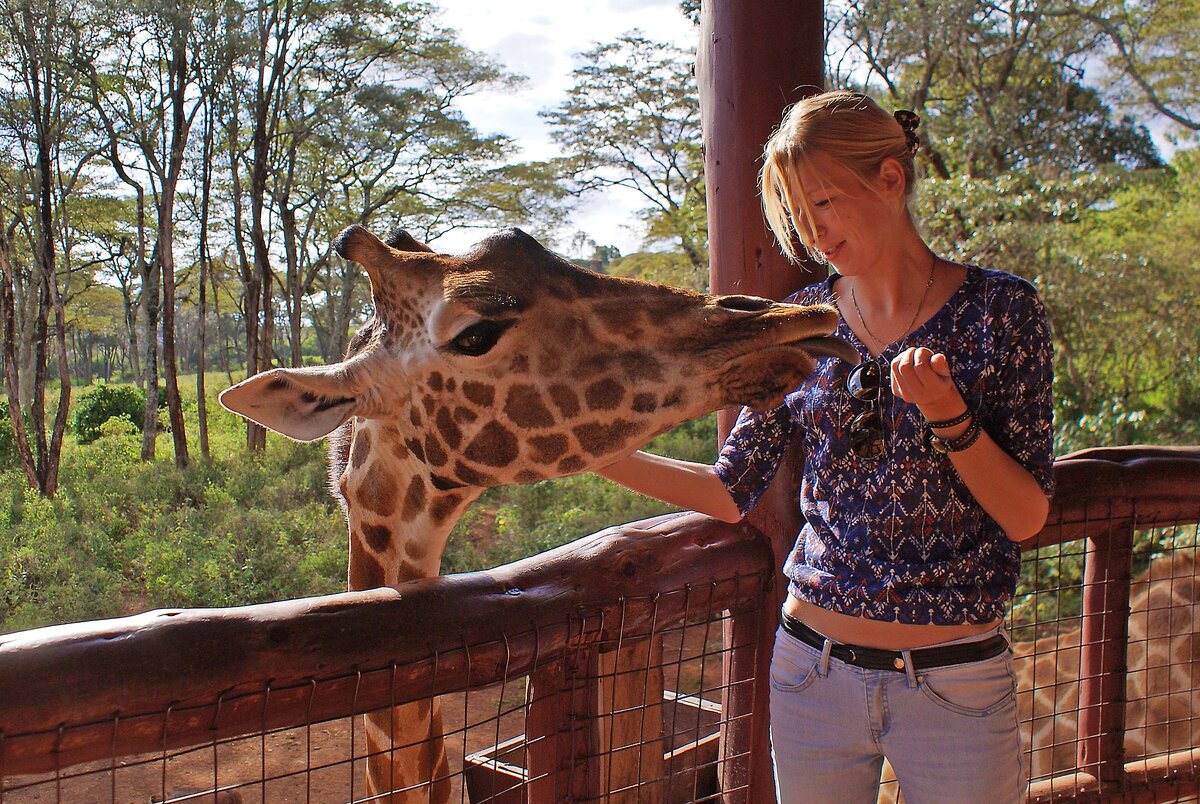 Фото предоставлено - kenya-info.me