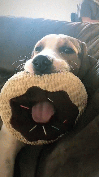 фото: reddit.com