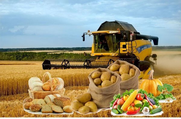 Продукты сельского хозяйства, необходимые человеку для пропитания.