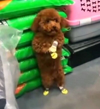 кадр из видео