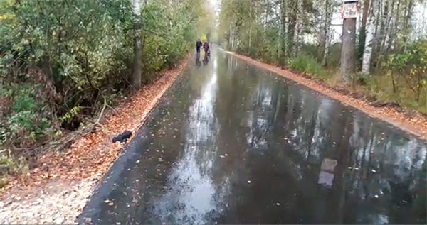 Дорога проходит через весь дачный поселок Орудьево, соединяя два шоссе. Снимок двухнедельной давности, еще нет обочины. Ее при мне насыпали и укатывали катком, именно в этом месте.