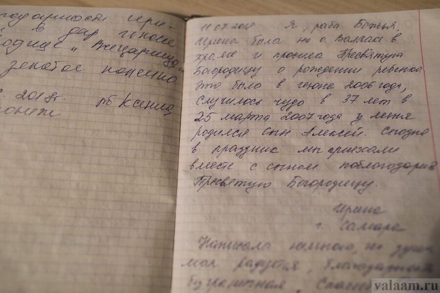 Надежда (крещена). Болеет раком, повезли сейчас на экстренную операцию. Вопрос жизни и смерти. Просим также, если есть такая возможность, молитв братии.