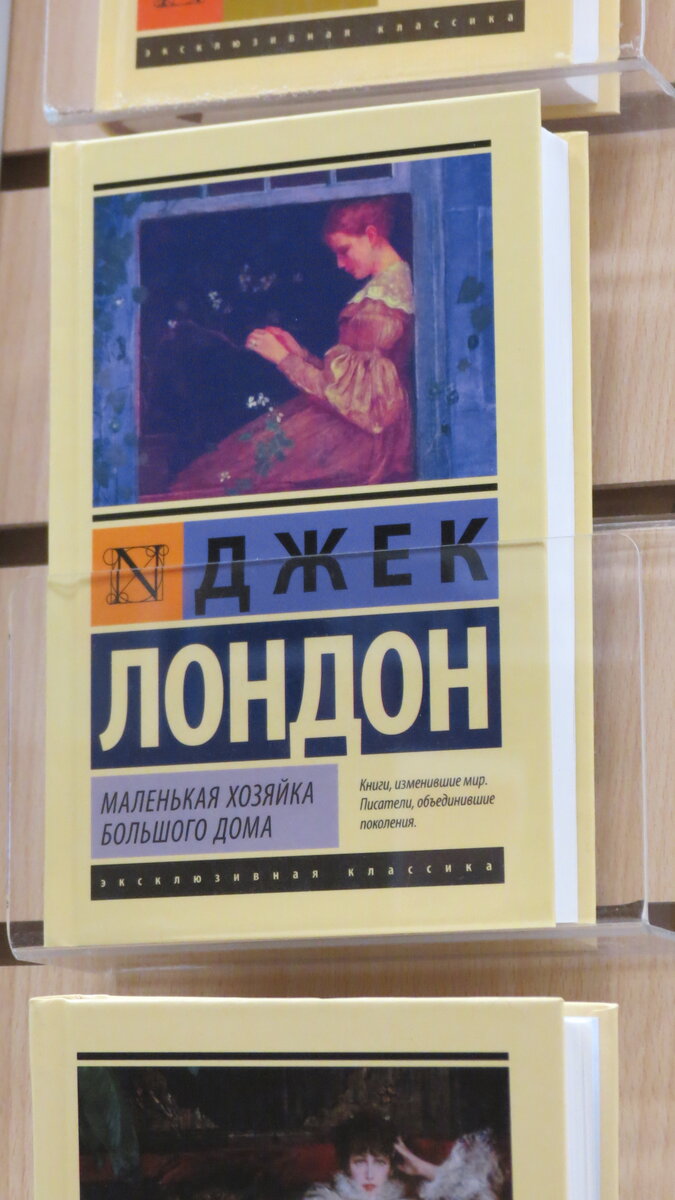 Маленькая хозяйка большого дома» Джека Лондона | Литературный союз Авторов  (ЛСА) | Дзен