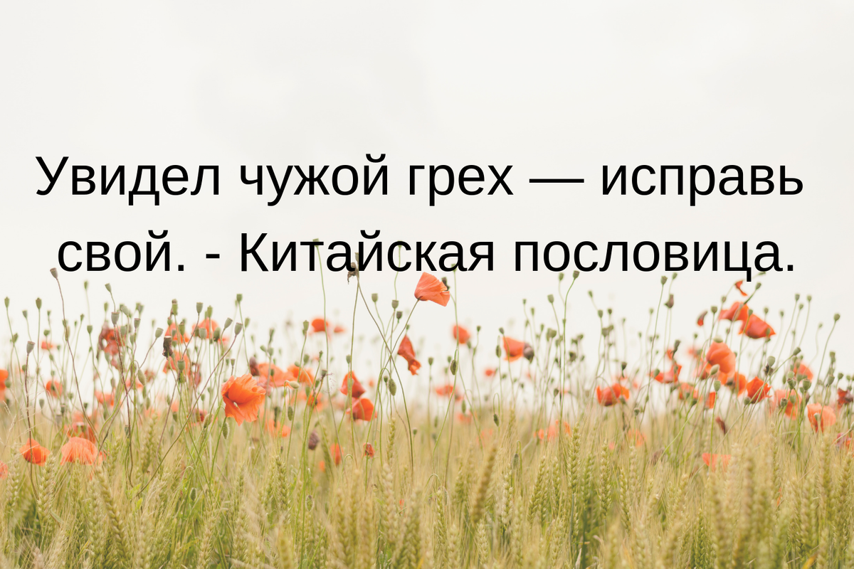 Увидел 33. Увидел чужой грех исправь свой. Видишь чужой грех исправь. Увидел грех исправь свой.