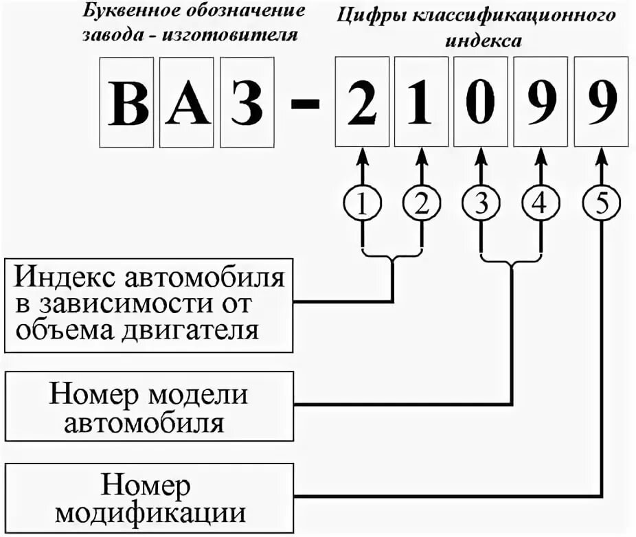 Какая особая группа населения обозначена цифрой 3 на схеме