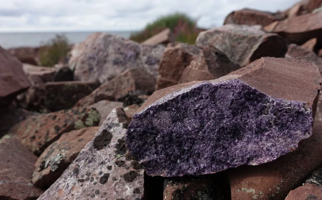 Фото из открытых источника.