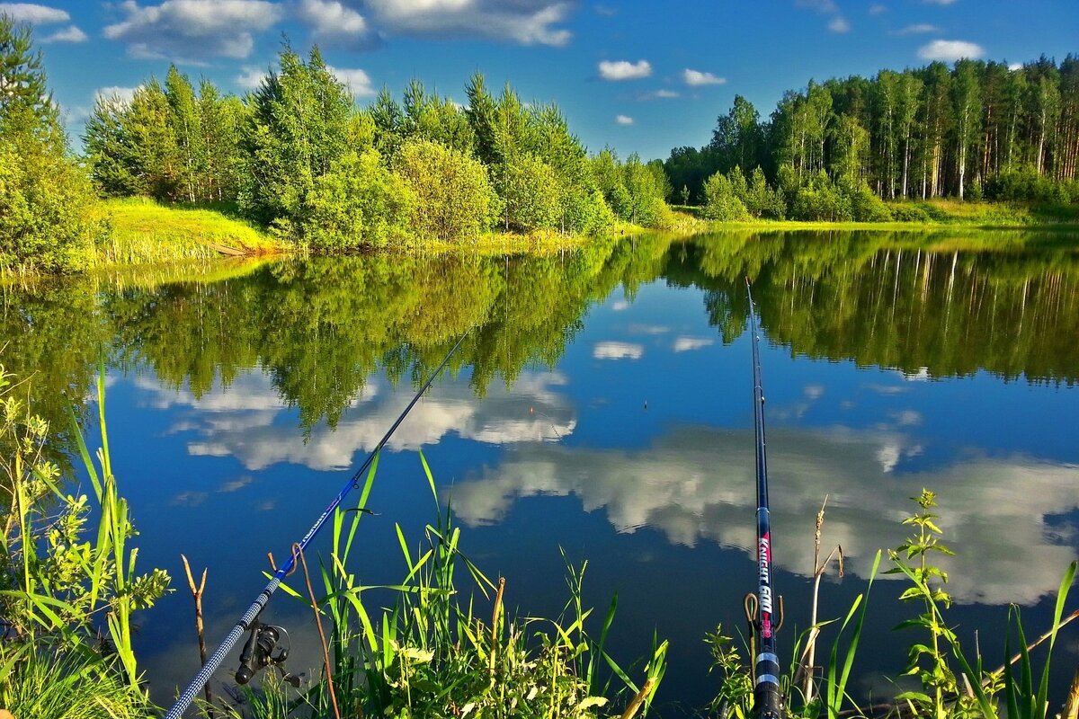 фото с http://goldrybak.ru/wp-content/uploads/2017/06/nature-lake-reflection-forest-rods-fishing.jpg