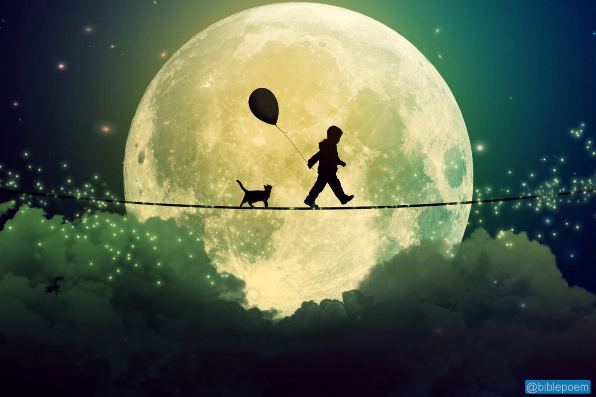 Двигаться по курсу