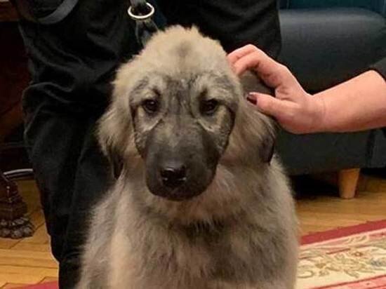 фото Predsedništvo Srbije /Promo