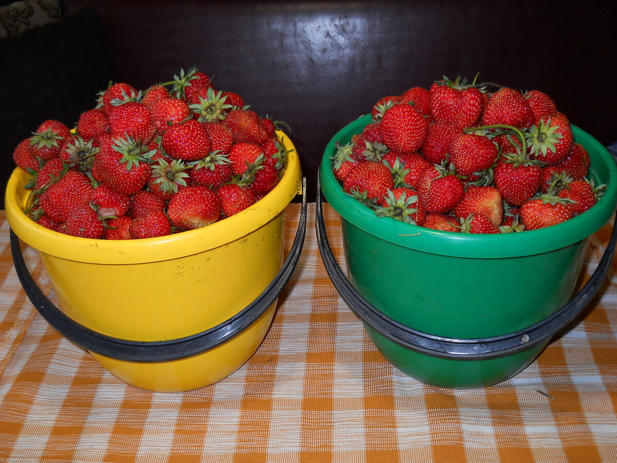  мне в последнее время стали обращаться часто за советом по поводу появившейся в сети новой рекламы. А по моему личному мнению- это новый ЛОХОТРОН! Ну почитайте, какие сказки они обещают!
