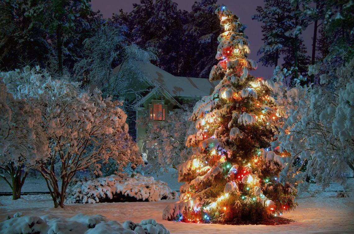 Christmas Wallpapers ID: WU65