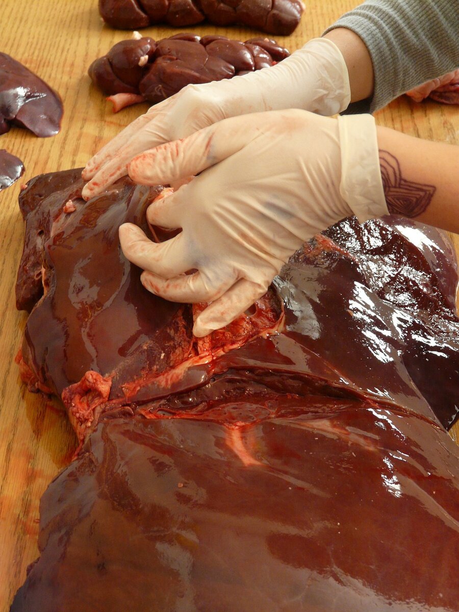 Говяжья печень