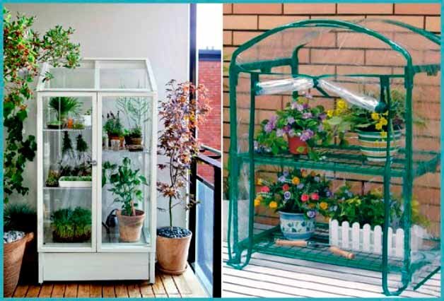 ogurcy-v-teplice.com