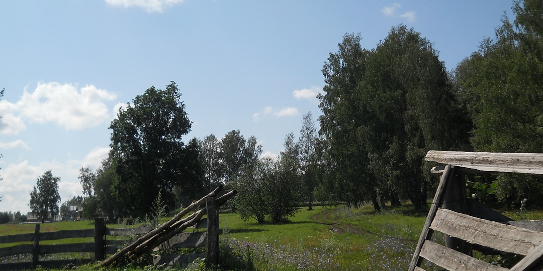 Кыз һәм каен