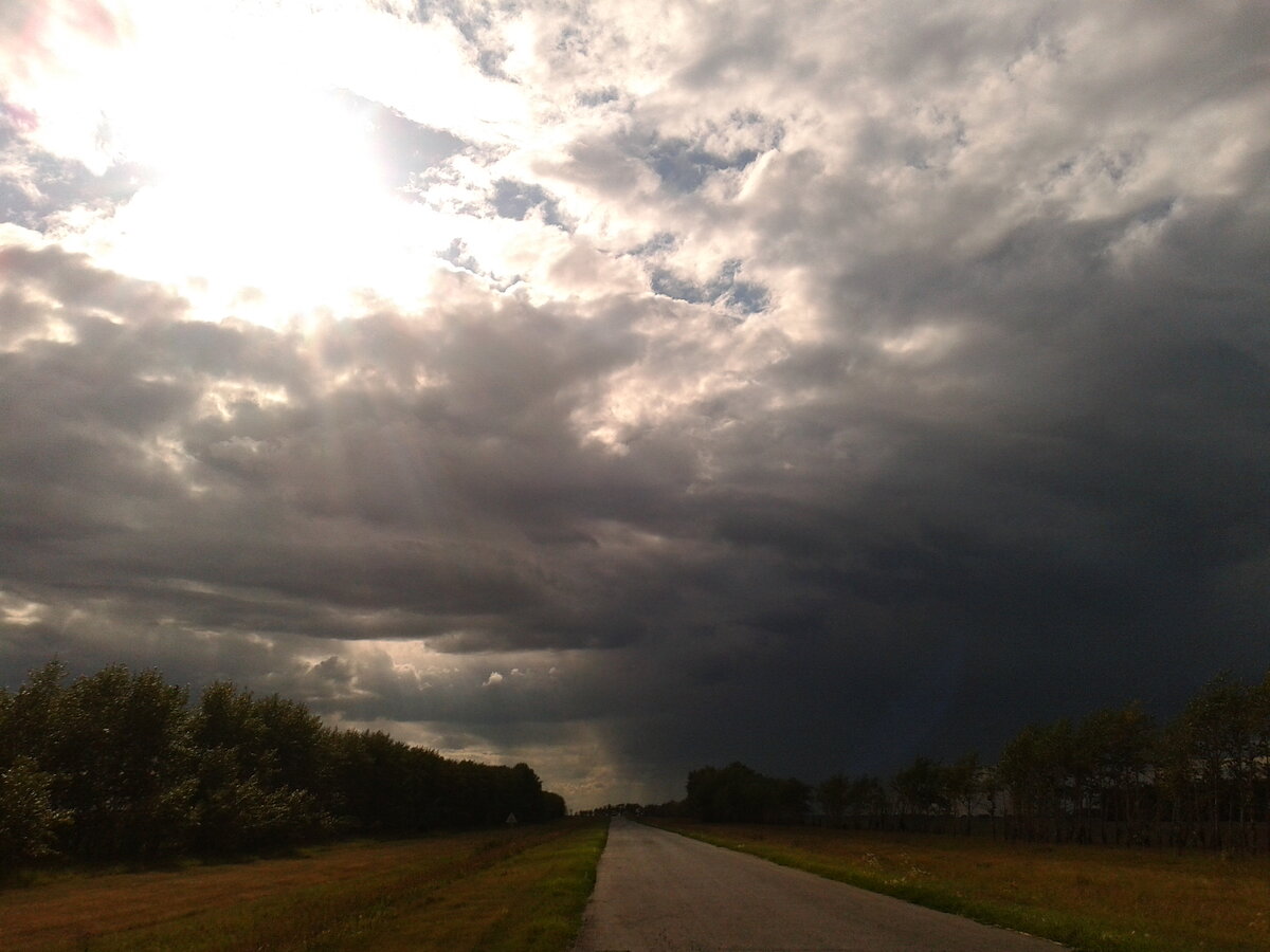 Фото из моей личной коллекции.  