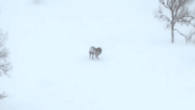 Фрагмент из видео ютюб