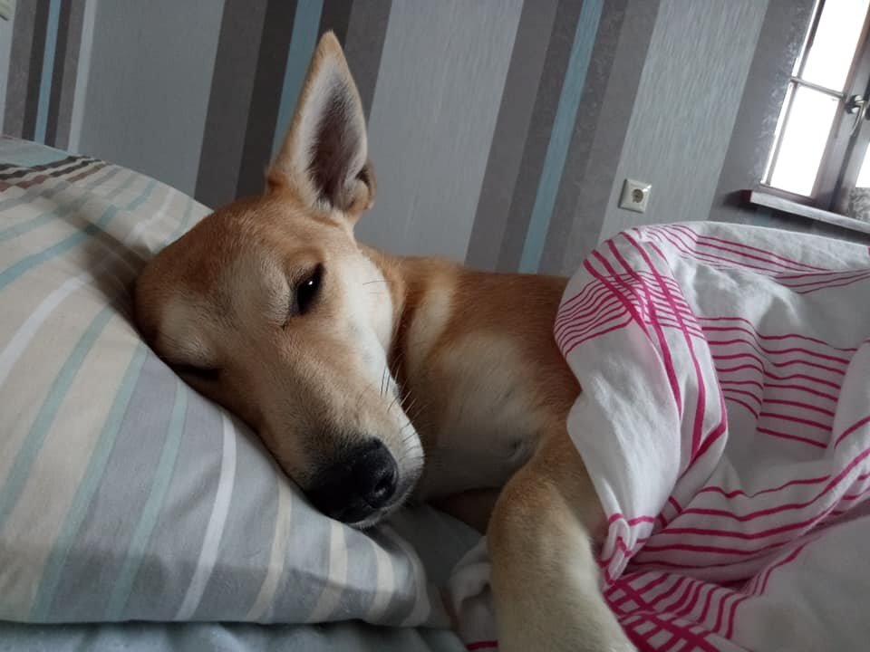 один из последних "пришельцев")