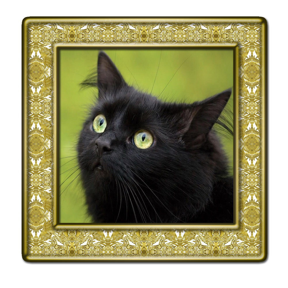 ссылка на картинку