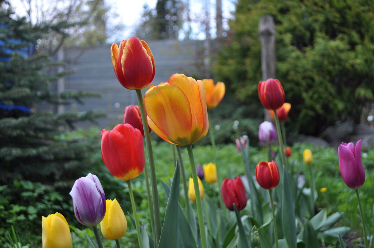 Все фото в материале авторские