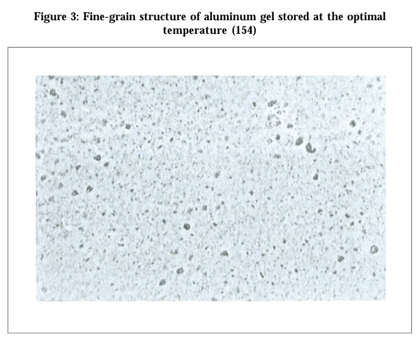 Вакцина с адъювантом не подвергавшаяся заморозке