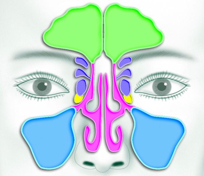 Красочная и наглядная картинка(описание ниже)