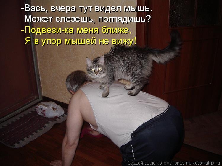 Не раз приходил. Анекдоты с котиками. Котоматрица самое смешное.