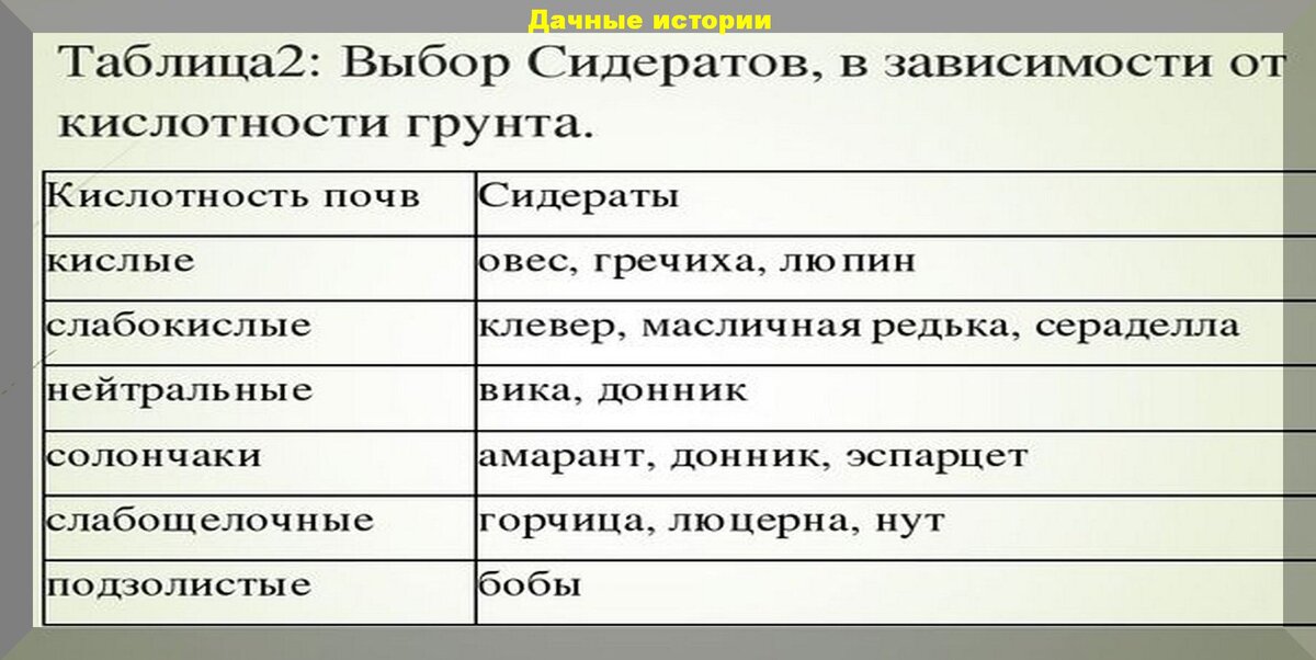 Сидераты когда сеять и когда закапывать. Сидераты таблица. Таблица сидератов под культуры. Сидераты для овощей таблица. Какие сидераты под какие культуры сеять таблица.