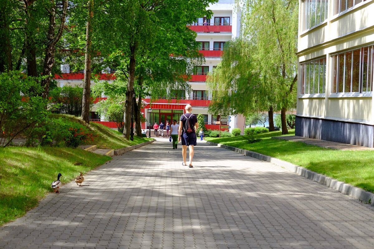 классный недорогой санаторий. санаторий сидельники беларусь путевка. санатории под минском. санаторий сибирь тюмень. пралеска санаторий белоруссия.