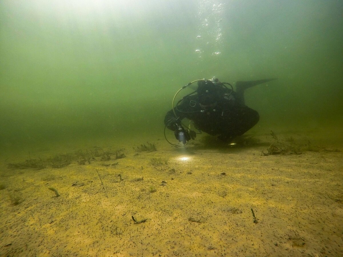 Телецкое озеро под водой