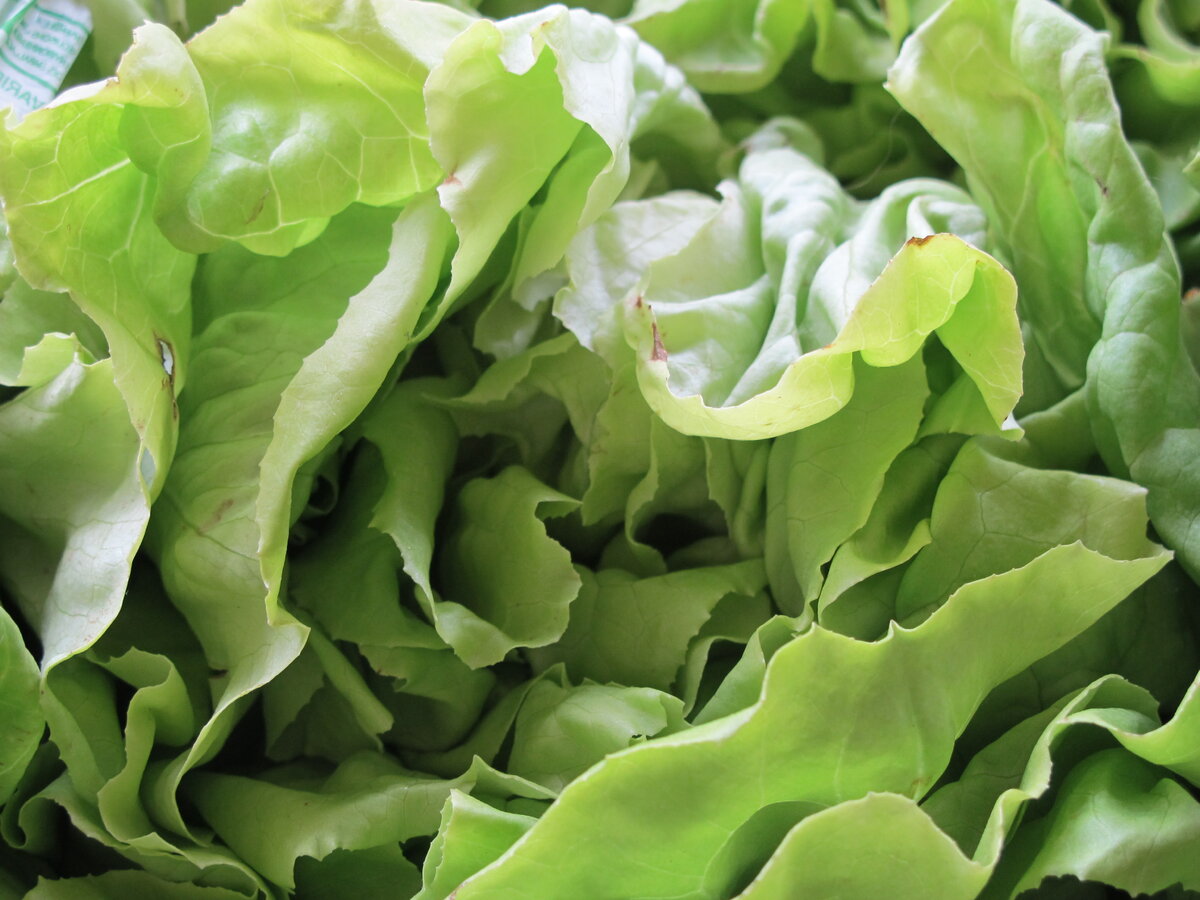 Фото автора статьи.