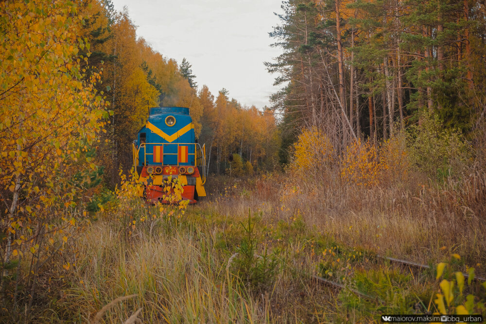 Потерялся в лесу и вышел на стоянку старых поездов!