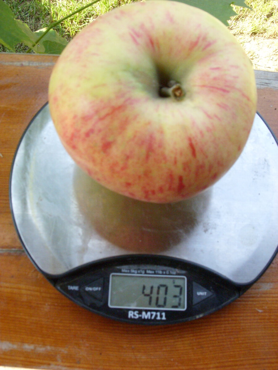 Яблочный Спас.