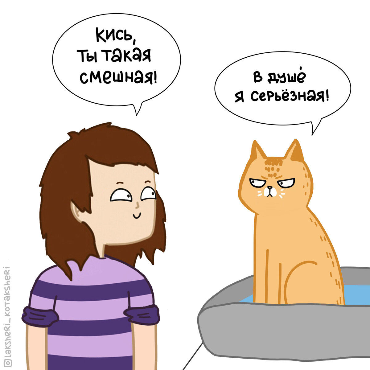 Котики очень часто кажутся нам смешными, но это всё от нашей ограниченности! На самом деле котики очень серьезные думы думают!