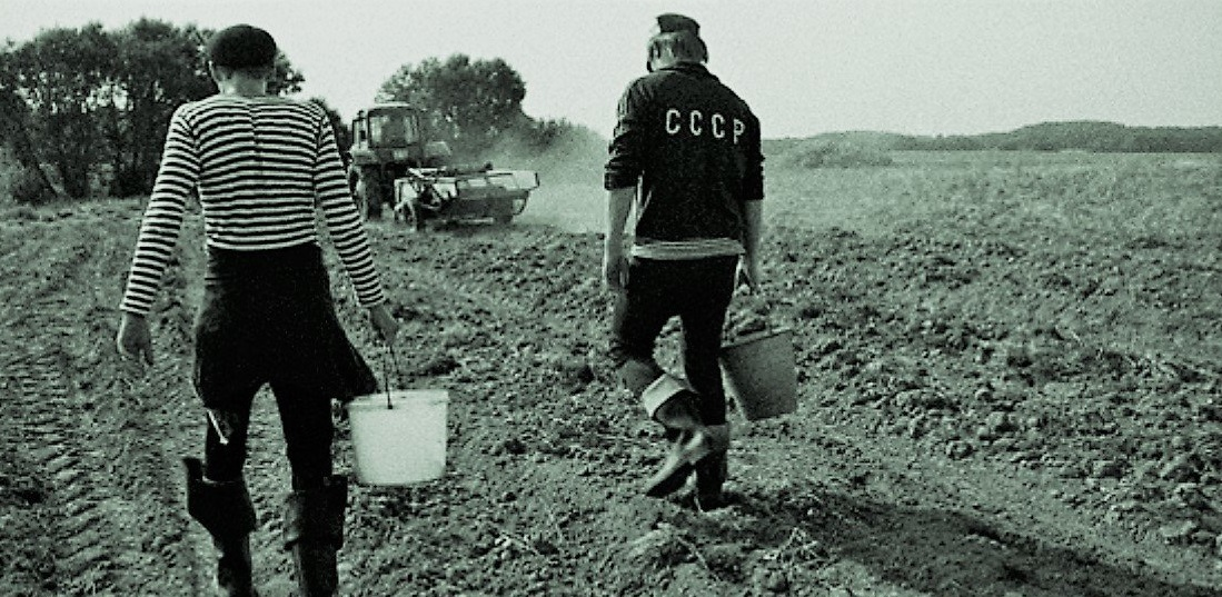 Собирай картоху, большую и маленькую. Взято из открытых источников.