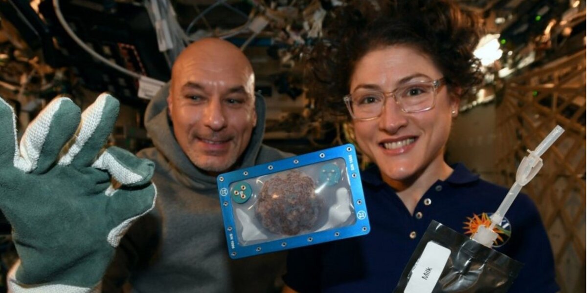 Новоиспечённые кондитеры на орбите - Лука Пармитано и Кристина Кух 