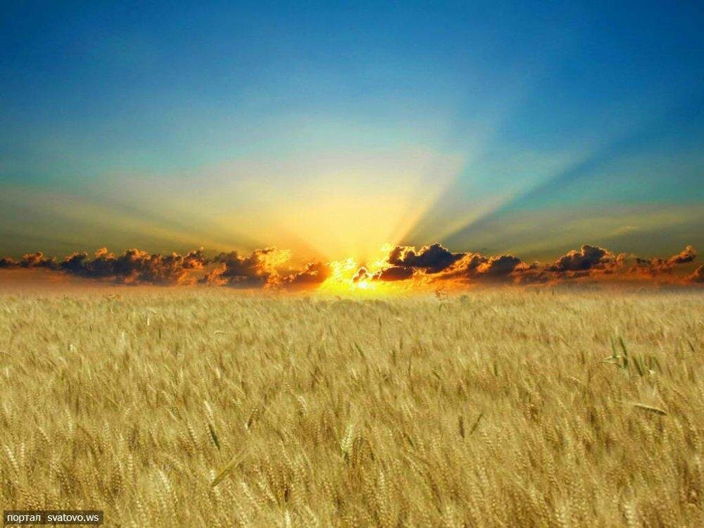 Фото из интернета