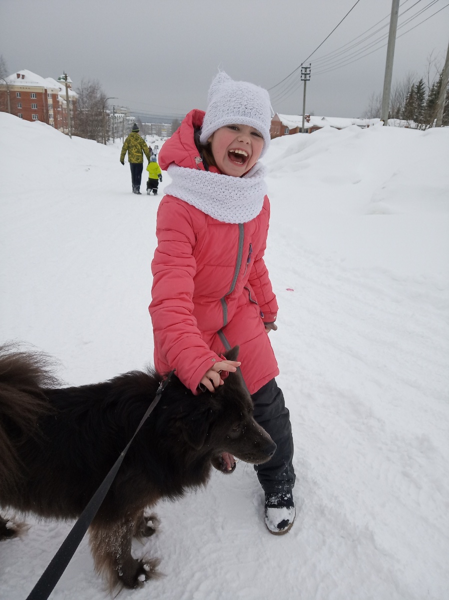 Совсем недавно подолгу гуляли с собакой. Теперь и нельзя, и некогда. 