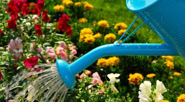 https://i1.wp.com/dndz.com.ua/wp-content/uploads/2014/05/polyv1.jpg?fit=635%2C350