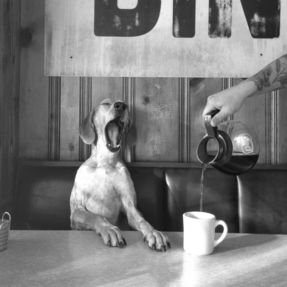 Ставим лайки и подписываемся. Скоро будут такие же интересные публикации. 