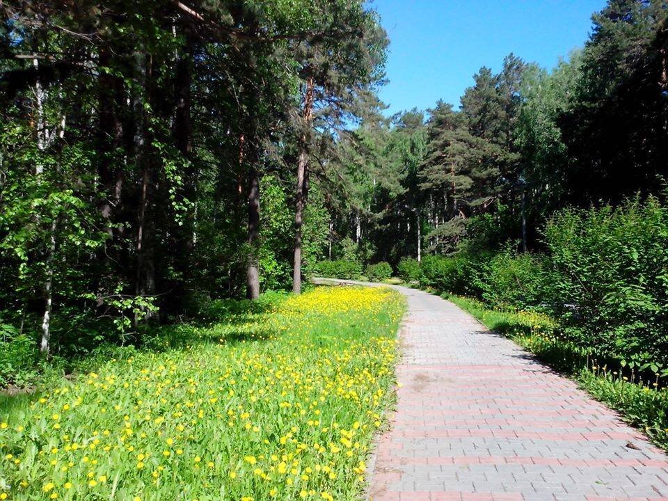 ул. Мальцева Академгородок Новосибирск  