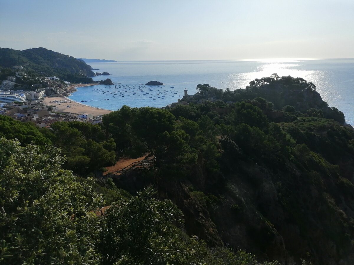 Прибрежные тропы особенно хороши для фартлека