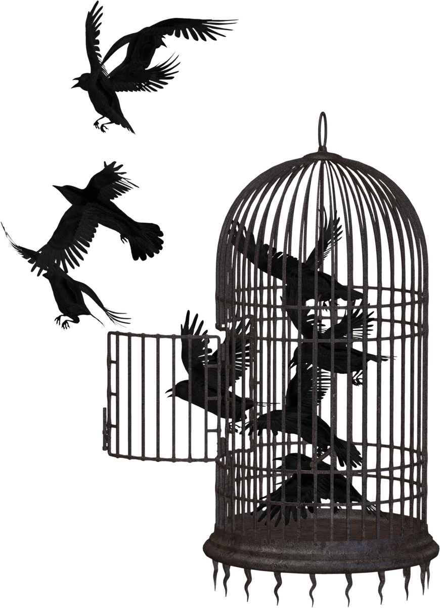 Изображение loulou Nash с сайта Pixabay