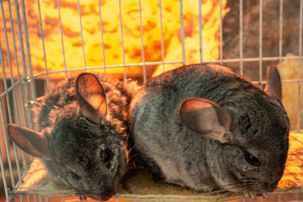 Фото из личного архива