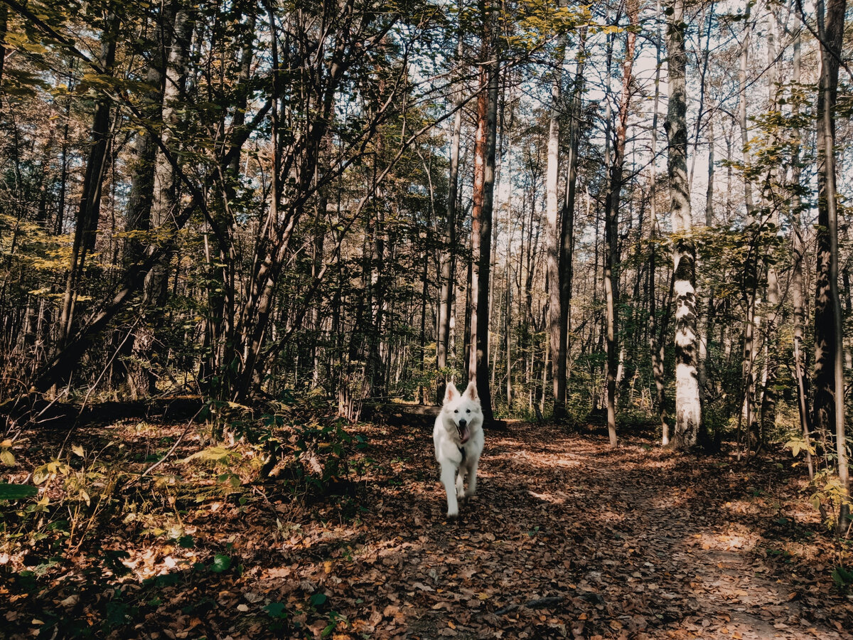 фото: личные архивы | ленни лоренц