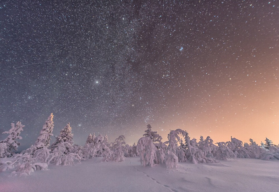 Картинка из сети интернет для иллюстрации