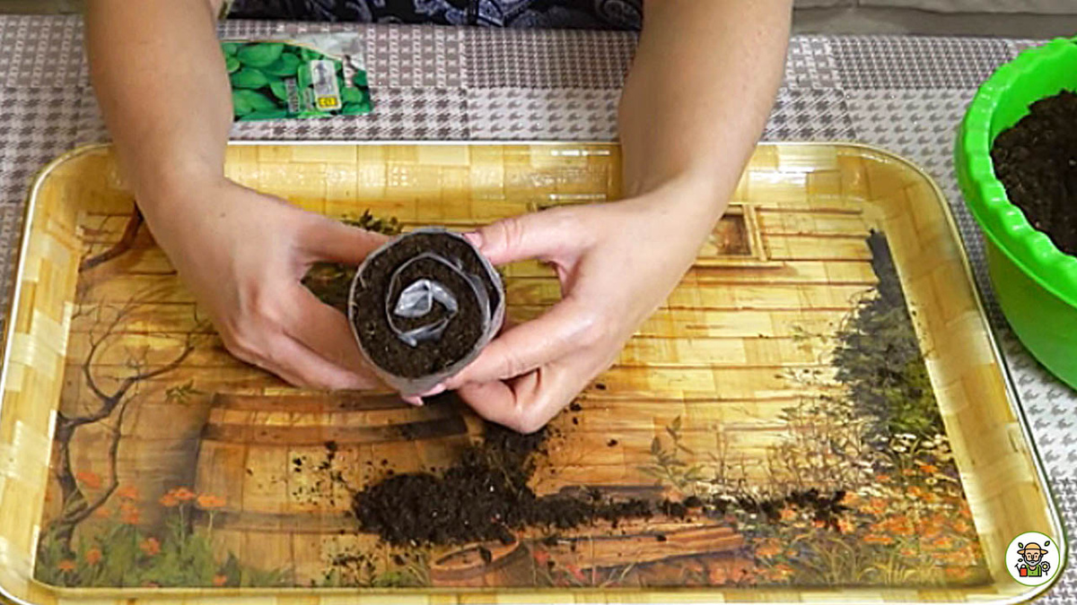 Сворачиваем стаканчик-улитку