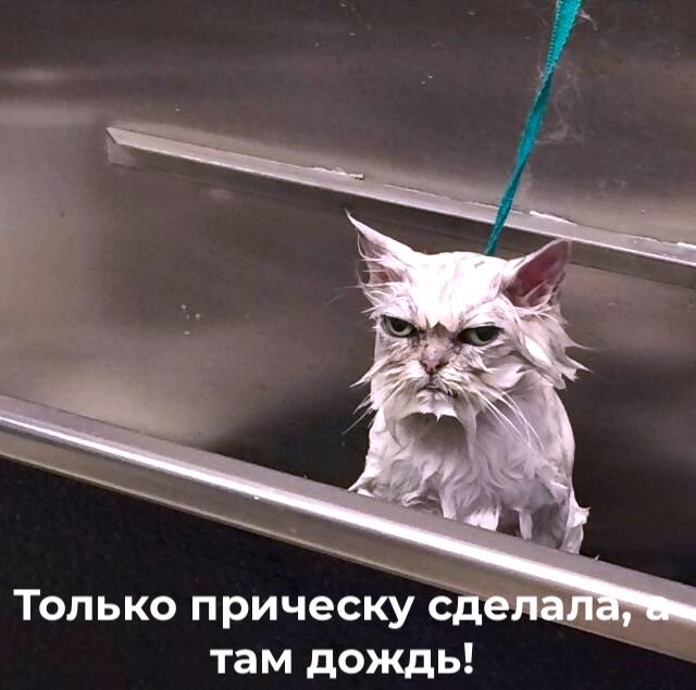 очень жизено