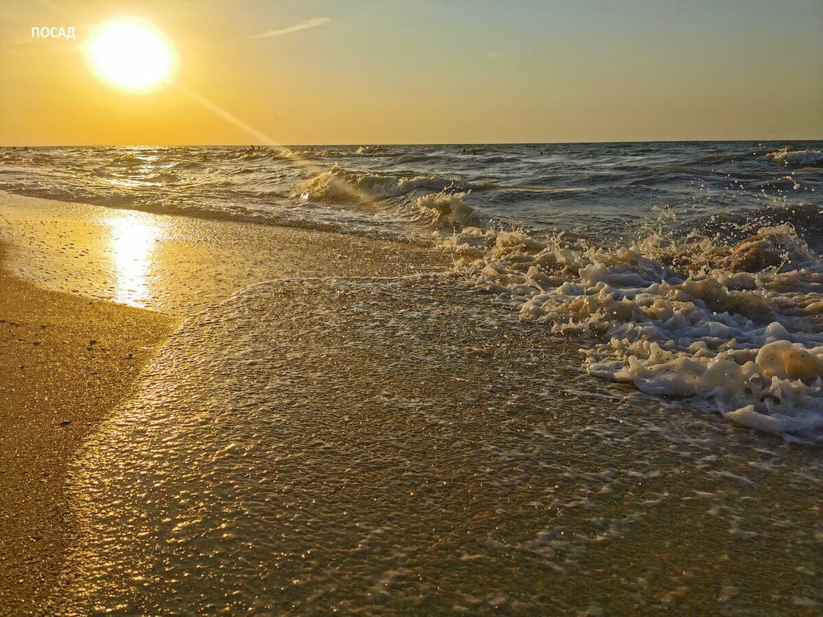 Шторм не велик, но прибивает к берегу медуз и всякий плавучий мусор. В том числе и материал для поделок.
