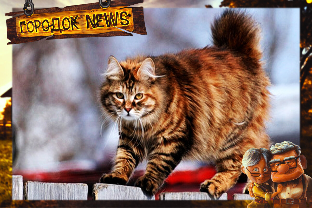 Источник Google картинки