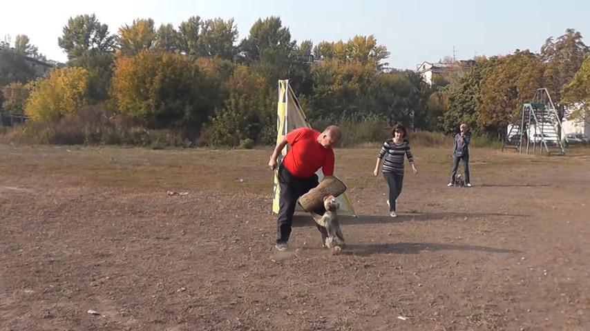 Йорк Бетти на задержании